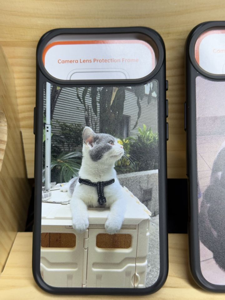 貓主子手機殼